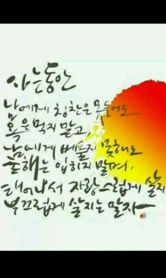 심는가발 이미지