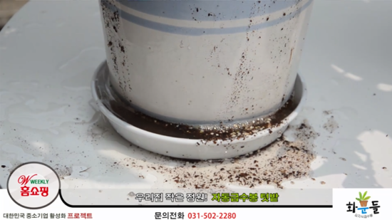 화분들닷컴 이미지