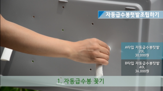 화분들닷컴 이미지