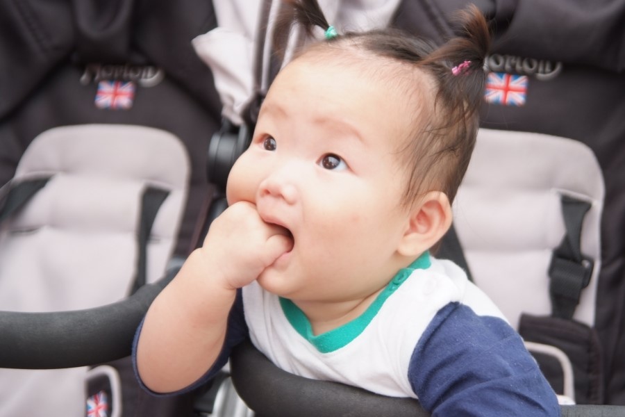 자연의맛 이미지