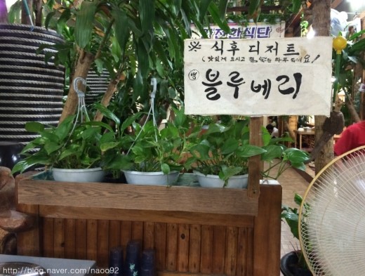 꽃마실해물칼국수 이미지