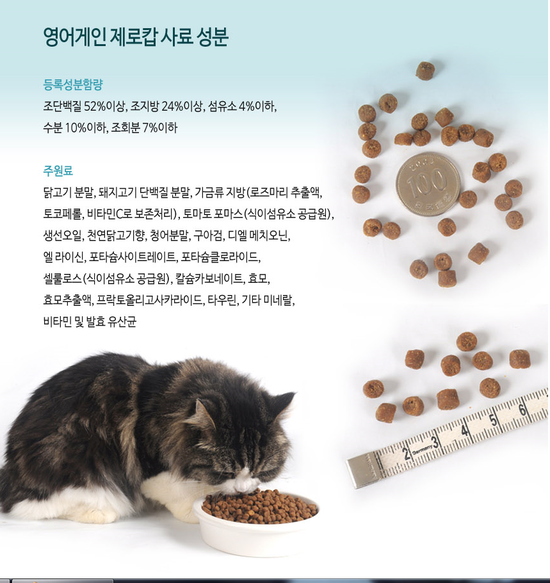 영어게인 이미지