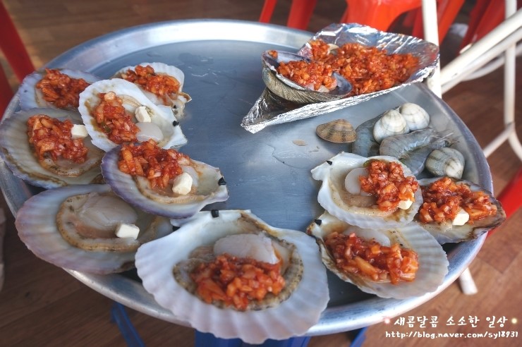 조개마당 이미지