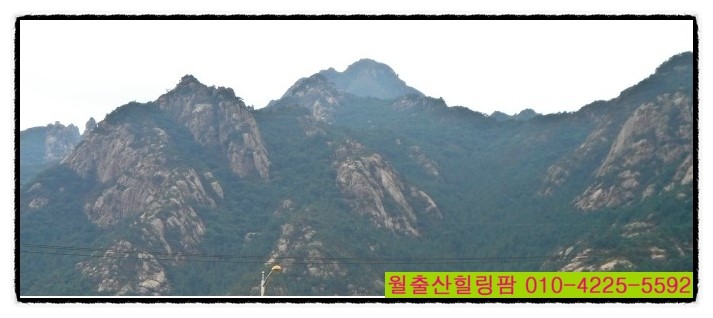 월출산힐링팜 이미지