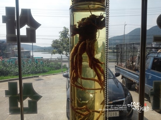 산삼약초전시장 이미지