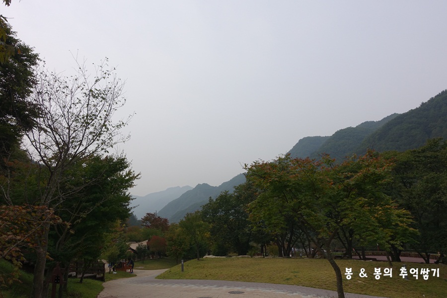 초롱별야영장 이미지
