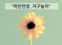 샤인네 이미지