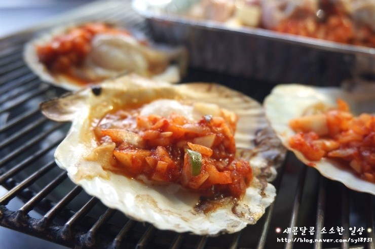 조개마당 이미지