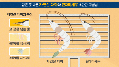 신황금어장 이미지
