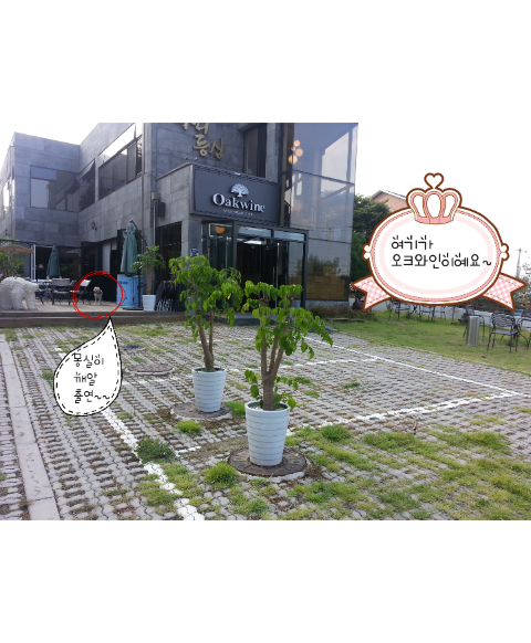 뮤지엄오크 이미지