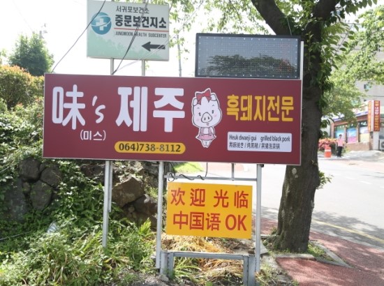 미스돼지 이미지