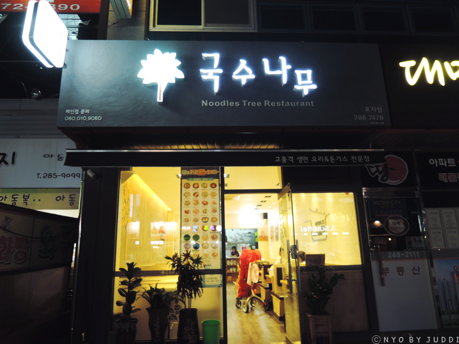 국수나무효자 이미지