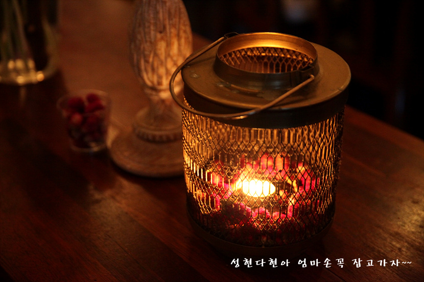 그릴터틀 이미지