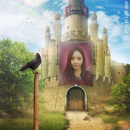 대경붙임머리 이미지