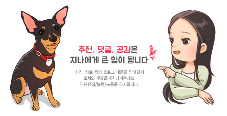 아일오브걸 이미지