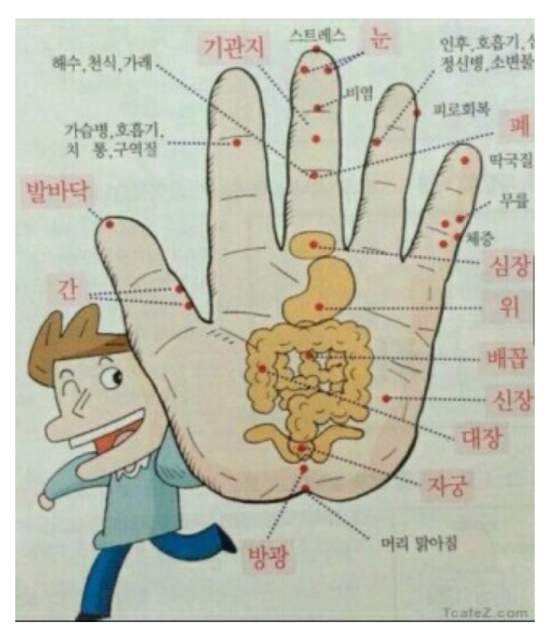 뜸 이미지