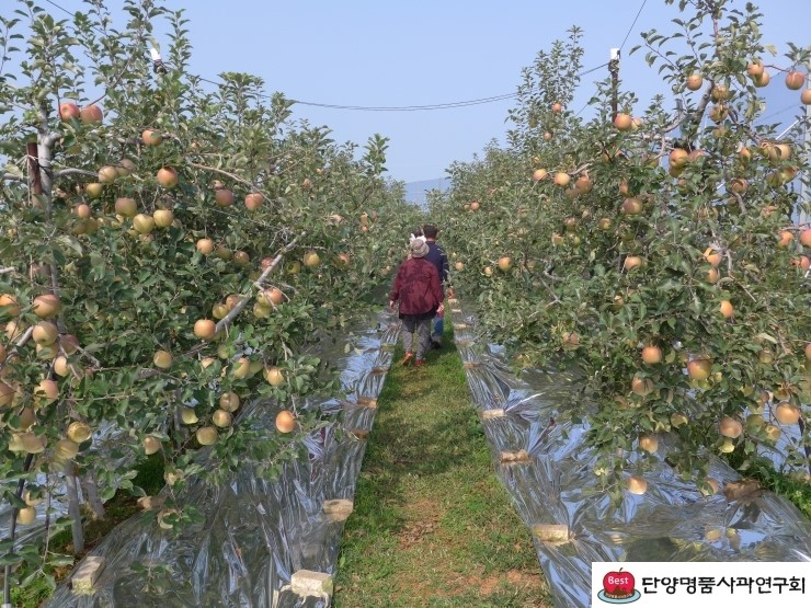 대풍농산 이미지