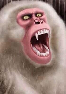 버거킹원주 이미지