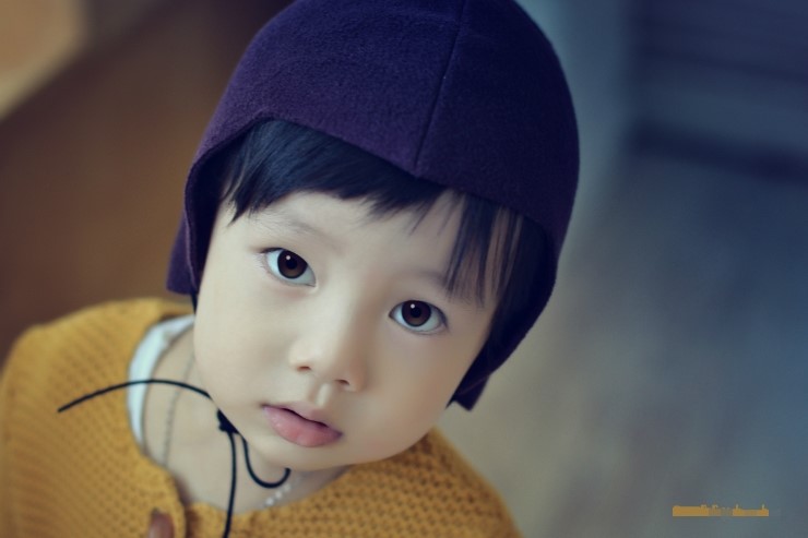 베리스튜디오 이미지