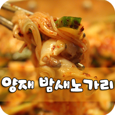 밤새노가리 이미지