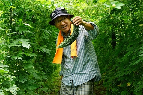 사랑해요영덕와송 이미지