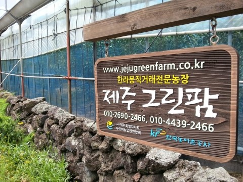 그린팜 이미지