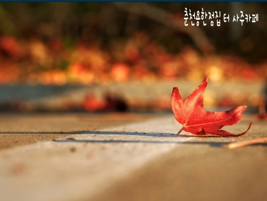 순행운수 이미지