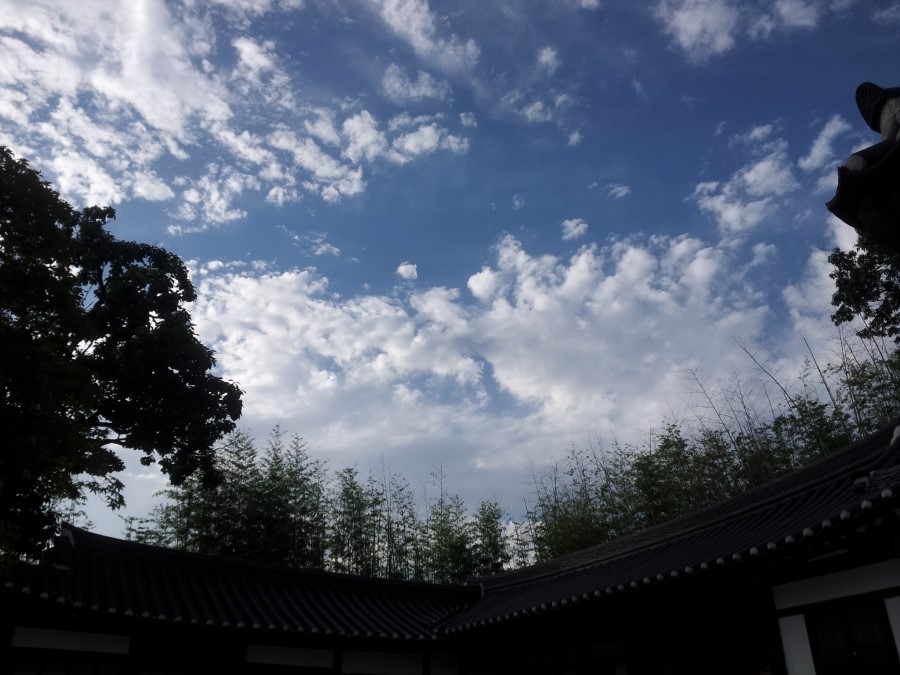 하늘보고 이미지