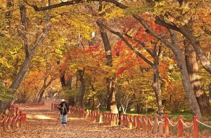 아름&답다 이미지