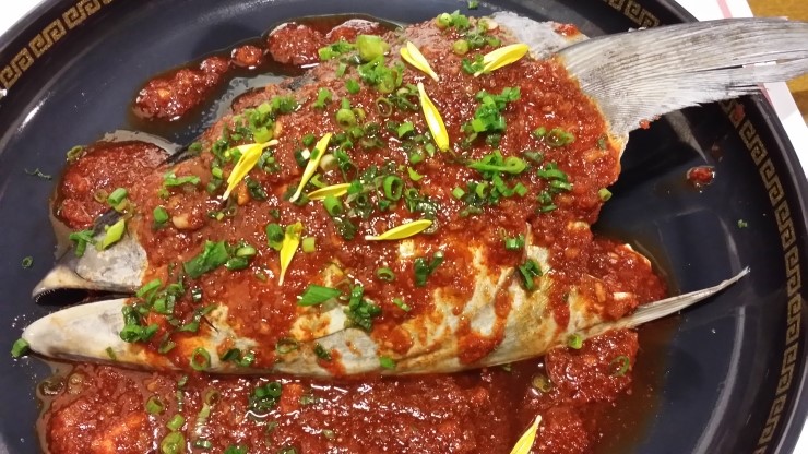 통참치 이미지
