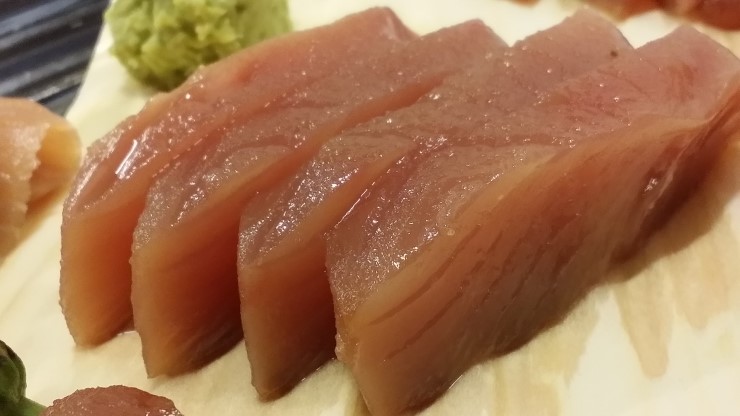 통참치 이미지