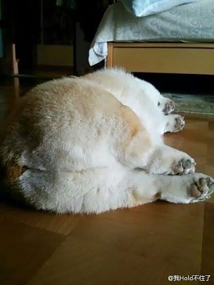 헤어퀸 이미지