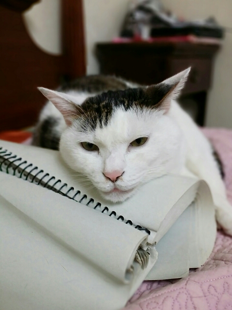 꾸름 이미지