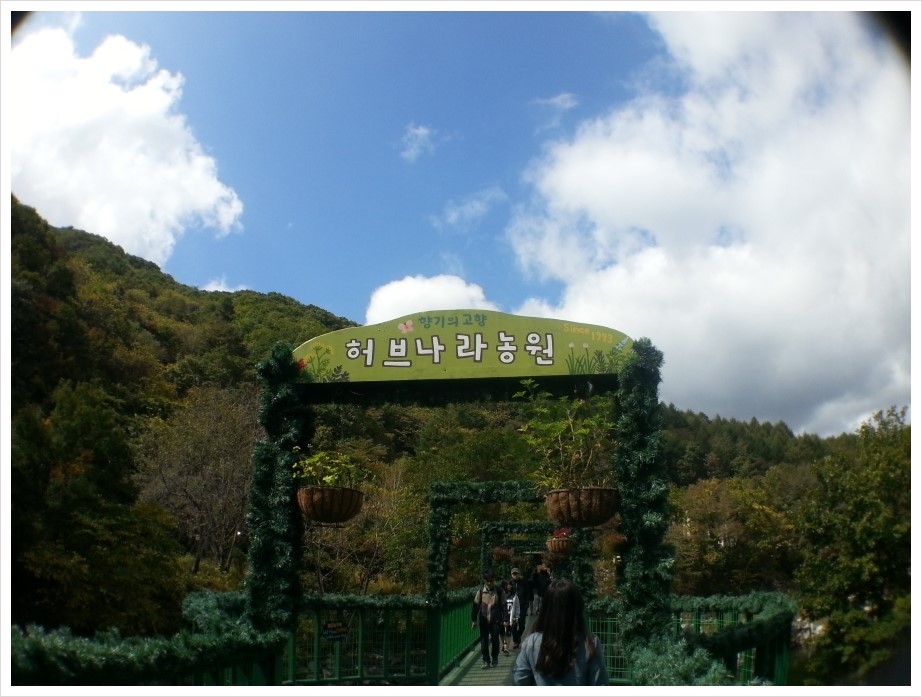 허브나라농원 이미지