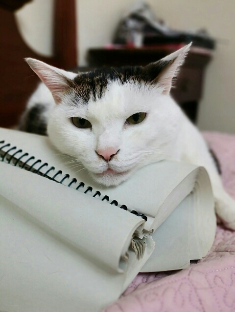 꾸름 이미지