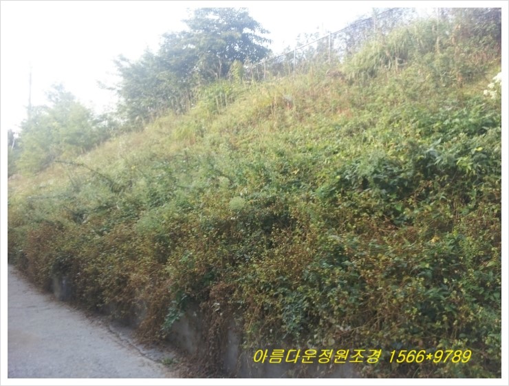 (주)정원푸드 이미지