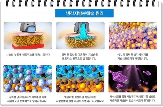 동대구에스미의원 이미지