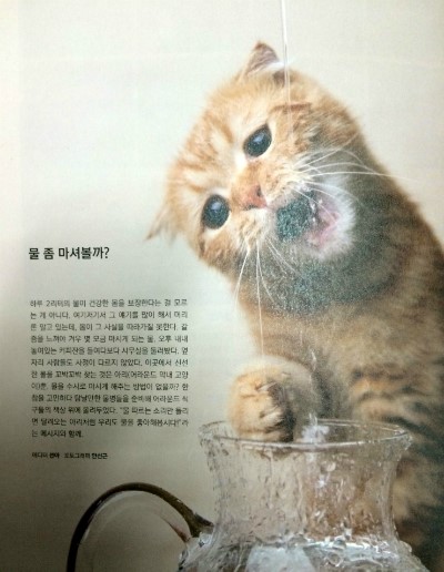 퍼블릭어라운드 이미지