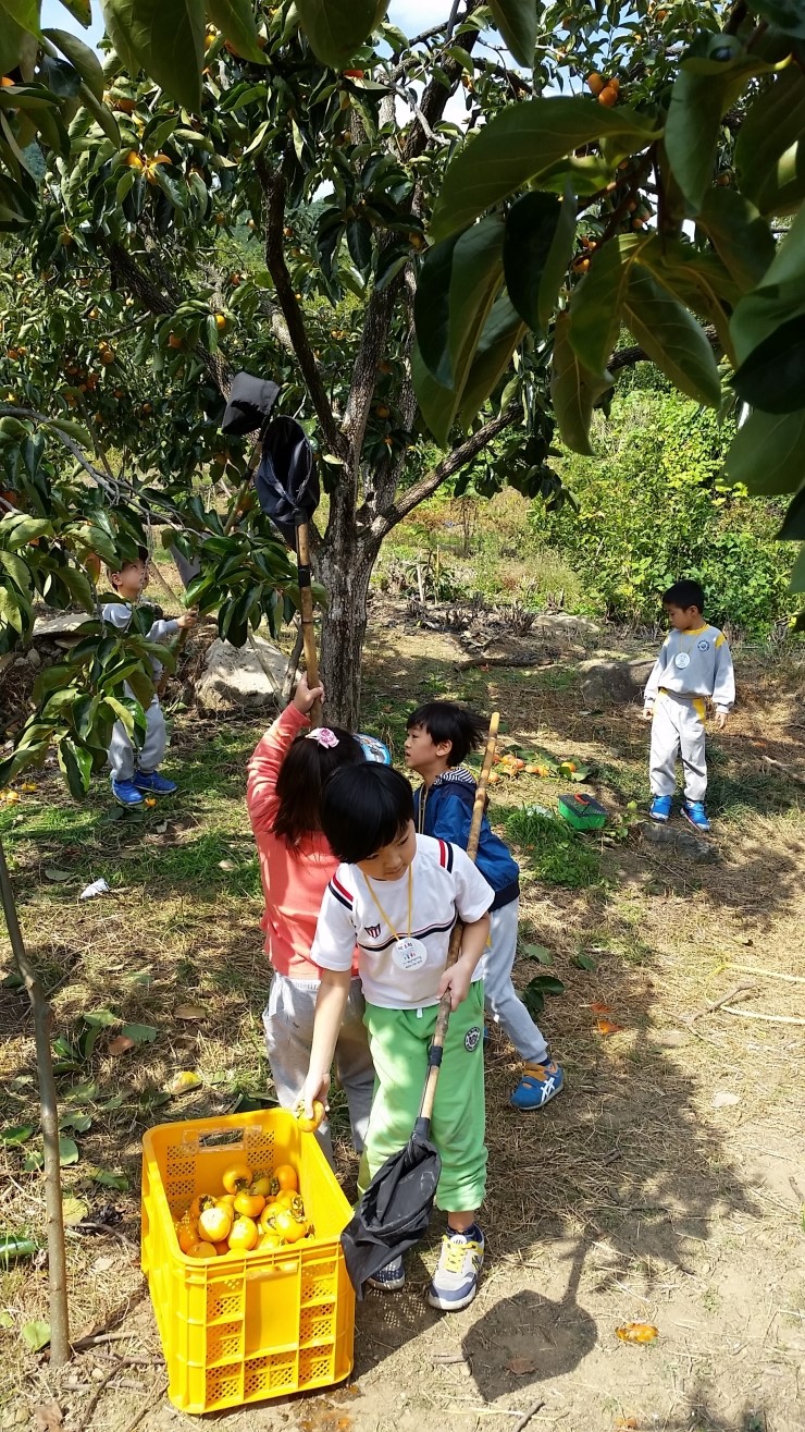 계성어린이집 이미지