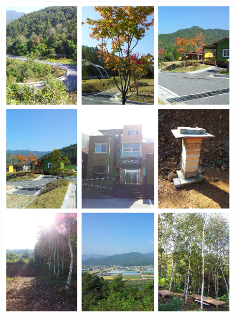 영월종합환경 이미지