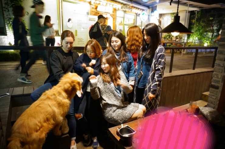 정든집 이미지