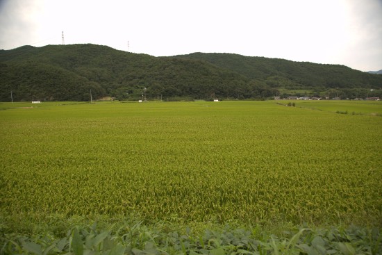 신우축산 이미지