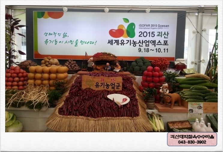 밀레충북 이미지