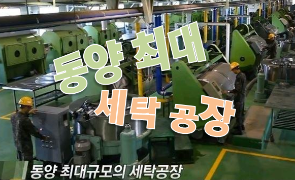동양세탁 이미지