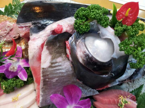 수참치 이미지