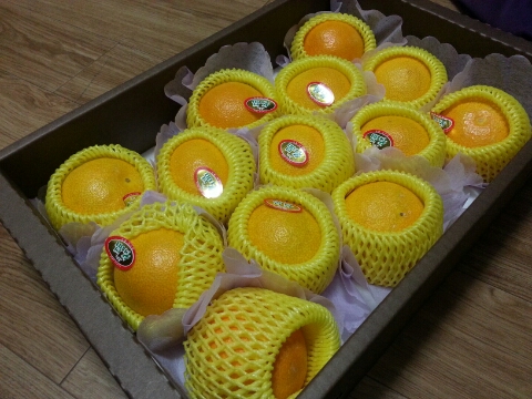 영숙이네 이미지