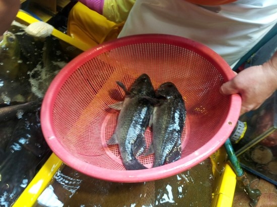 재성수산 이미지