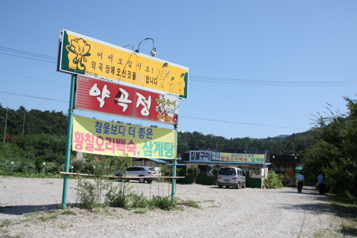 황칠 돼지한마리 이미지