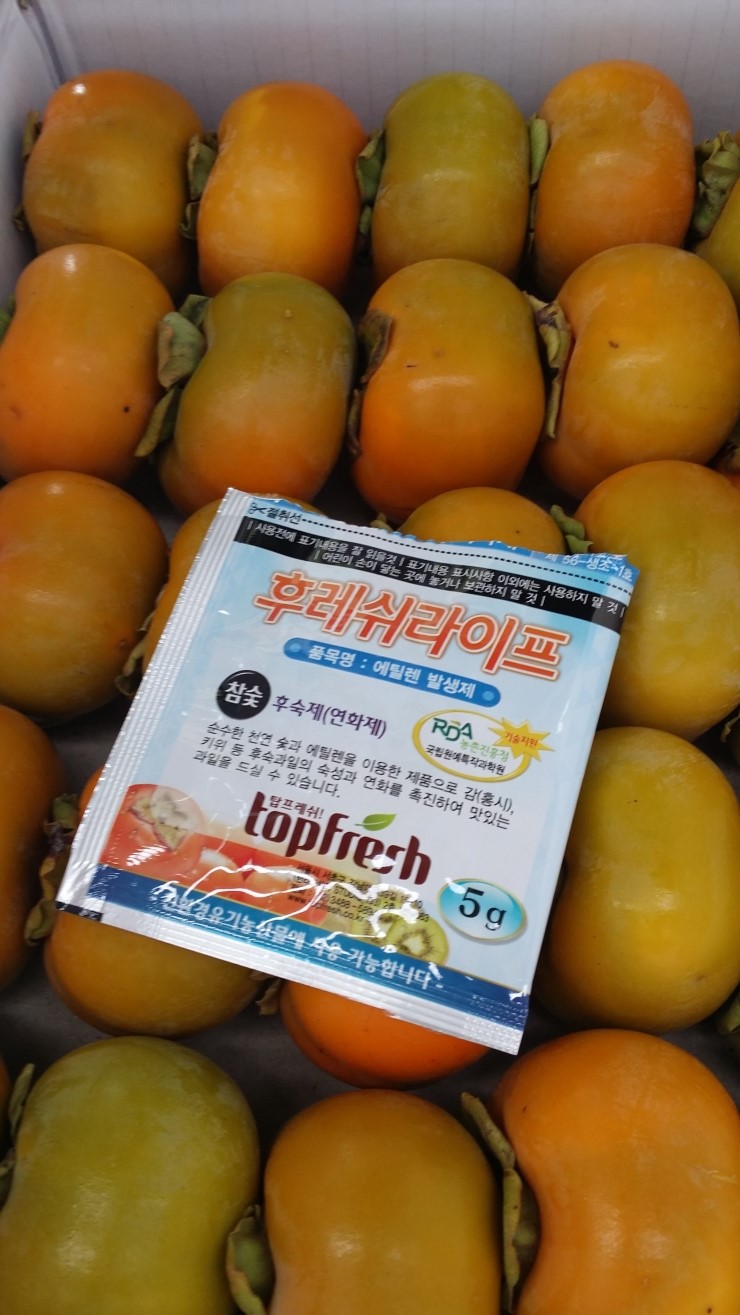 배가네농장 이미지