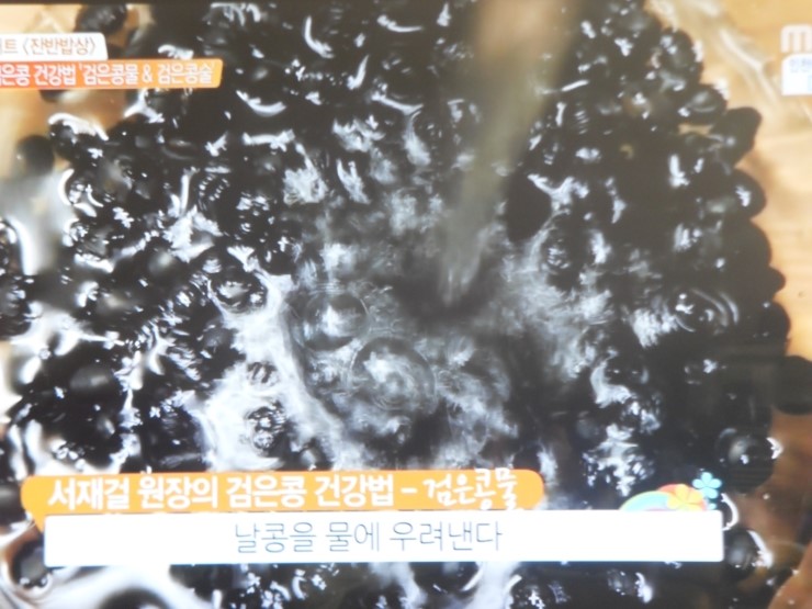 물콩이네 이미지